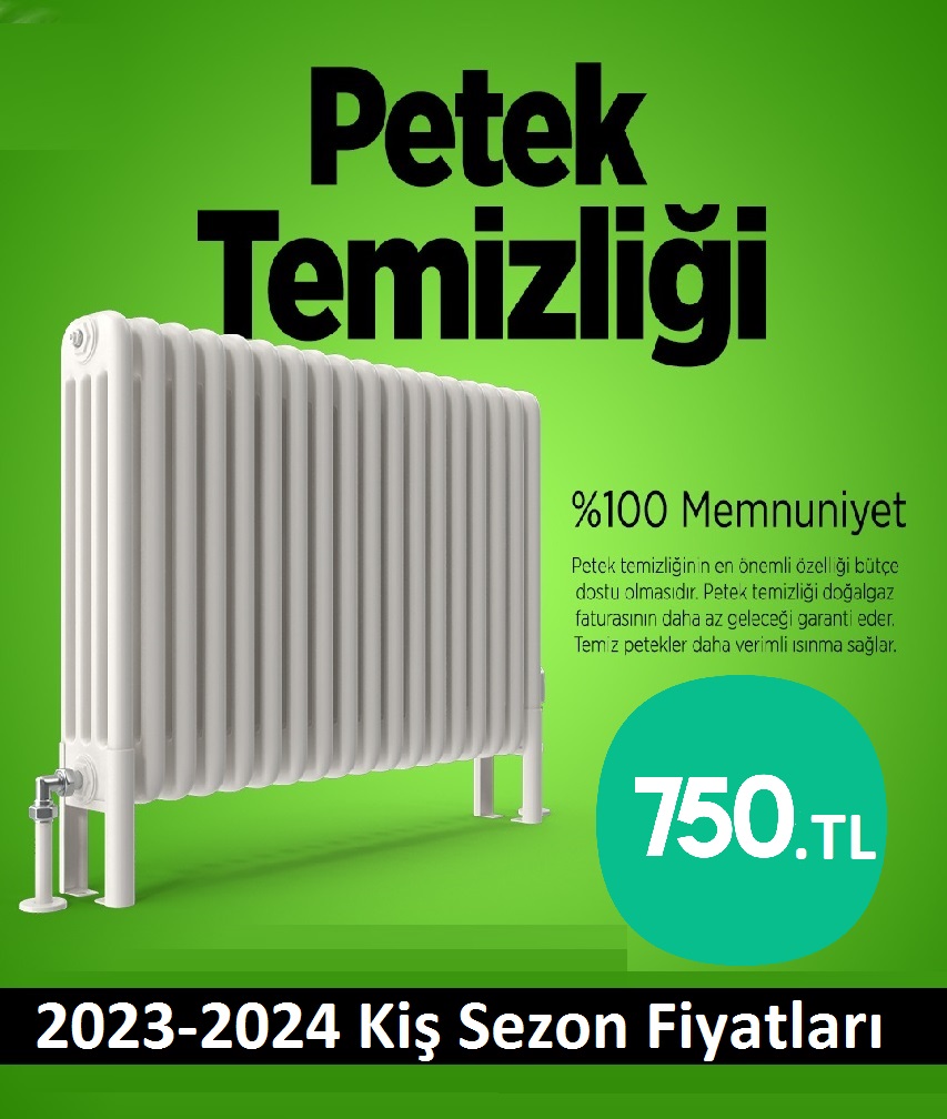 Kadıköy Petek Temizliği Tek Fiyat Teklifi Al
